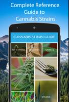 Cannabis Strain Guide Affiche