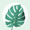 PlantMe - Plant identification-icoon