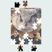 Jigsaw Puzzle APK