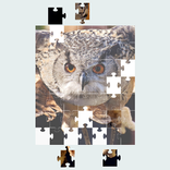 Jigsaw Puzzle