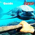 Guide Stranded Deep Survival