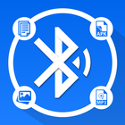 Share All : Copy all Data Tran иконка
