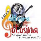Radio Salitrera Potosina-icoon