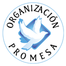 Organizacion Promesa APK