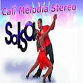 CaliMelodia Stereo
