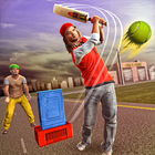 Street Cricket Match ikona