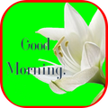 Good Morning Gif Images