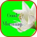Good Morning Gif Images APK