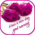 Good Night and Good Morning Images 2020