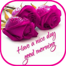 Good Night and Good Morning Images 2020 APK