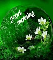 Good Night and Good Morning Images 2020 الملصق