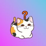 Какой ты котик