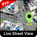GPS Tools 2020- Live Street Vi APK