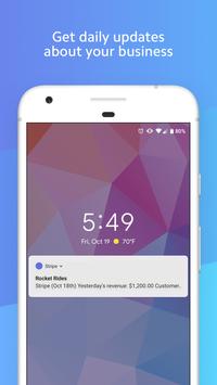 Stripe 截图 3