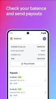 Stripe Screenshot 3