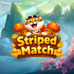 Striped Match icon