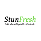 StunFresh icon