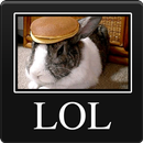 Demotivational Pics APK