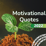 All Motivational Quotes 2022