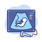 Pregnancy Ultrasound Guide icône