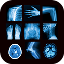 X-Ray Interpretation Guide APK