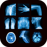 X-Ray Interpretation Guide icône