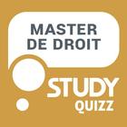 Master Droit icône