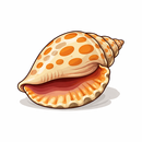 APK Sea Shell Quiz