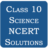 Class 10 Science NCERT Solutio icône