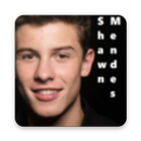 Shawn Mendes video songs APK