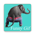 Funny Gif icon