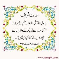 Hadees in Urdu captura de pantalla 1