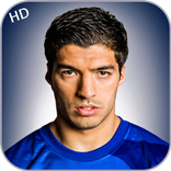 Luis Suarez Free Wallpapers HD