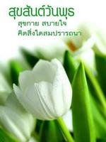 پوستر สวัสดี วันพุธ