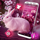 Pink Bunny Launcher Theme أيقونة