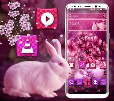 Pink Bunny Launcher Theme Affiche