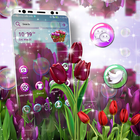 Tulip Flower Launcher Theme icône