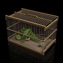 Insect Cage APK