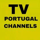 Portugal live TV (channels) icône