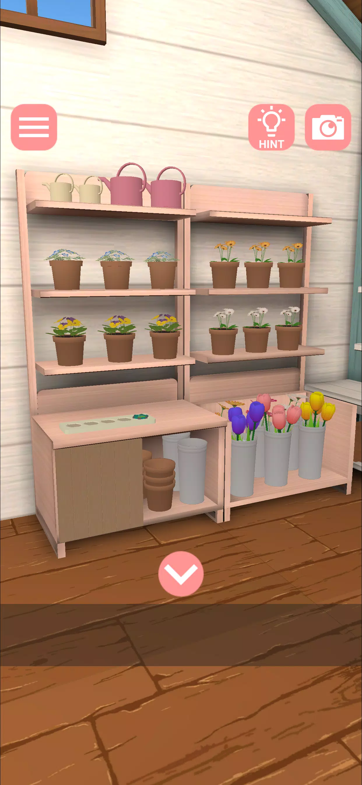 Escape Game: Tiny Flower Shop