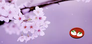 密室逃脫遊戲：櫻花落在最後一場雪中