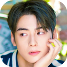 Astro Cha Eun woo Wallpaper أيقونة