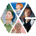 Exo Wallpaper Kpop HD icône