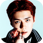 ikon Exo Sehun Wallpaper