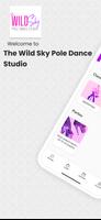The Wild Sky Pole Dance Studio постер