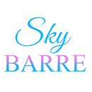 APK The Sky Barre Grant Park