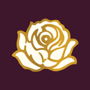 APK Under The Rose Sauna Club