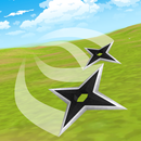 Ninja Master APK