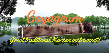 Gayageum - Korean Instrument
