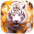 Fortune Tiger HD